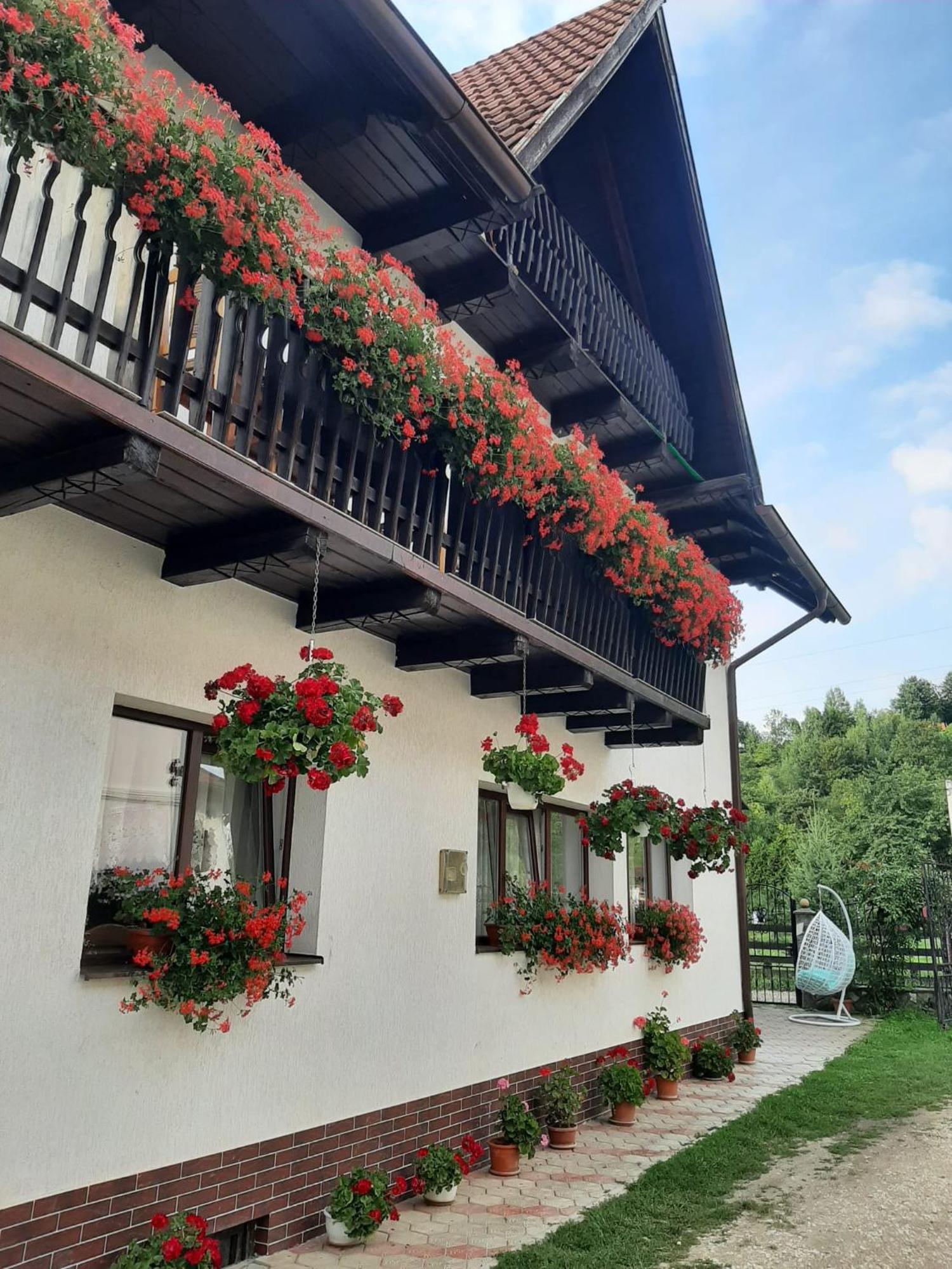 Casa Flavius Hotell Bran  Exteriör bild